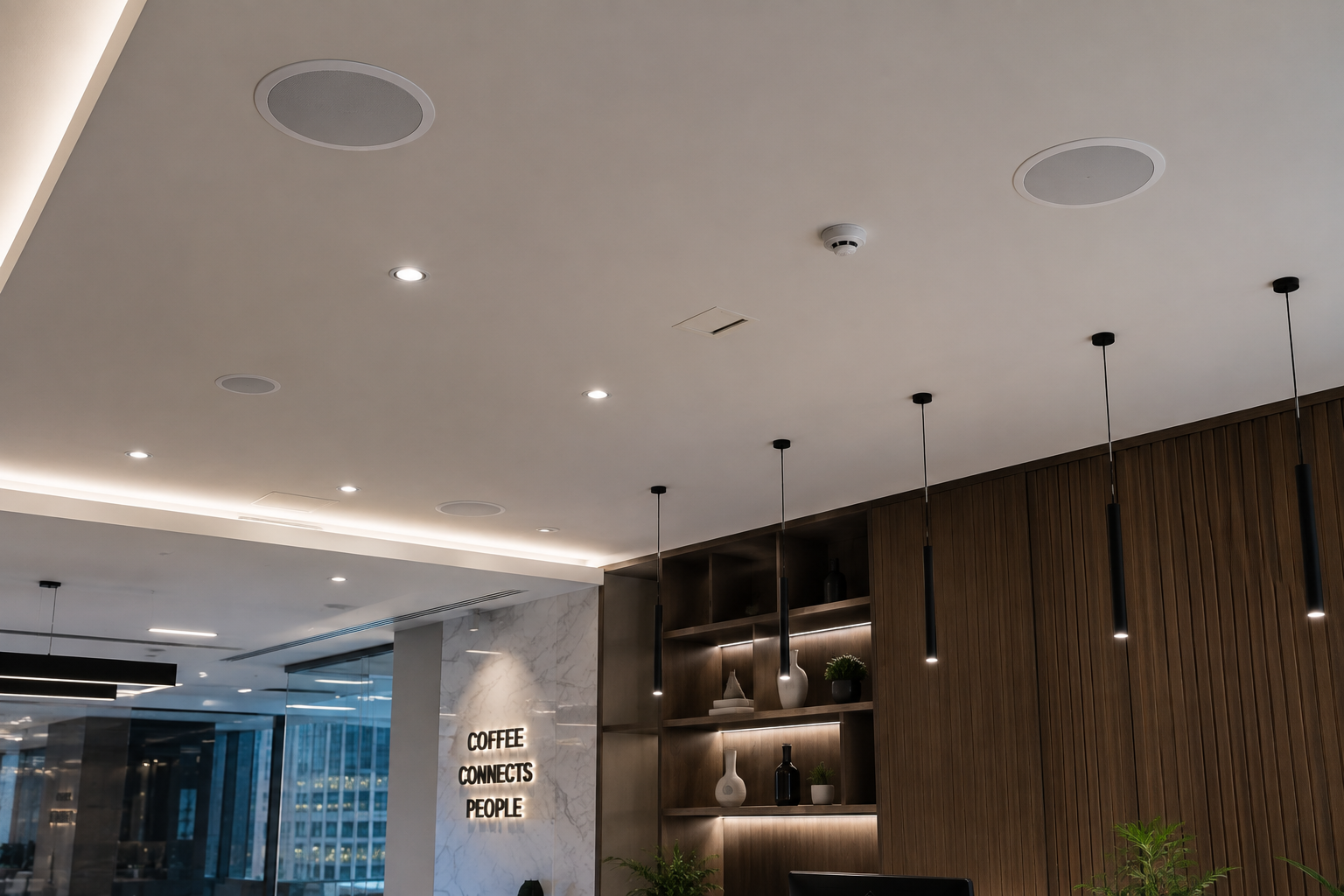 Commercial and home audio system